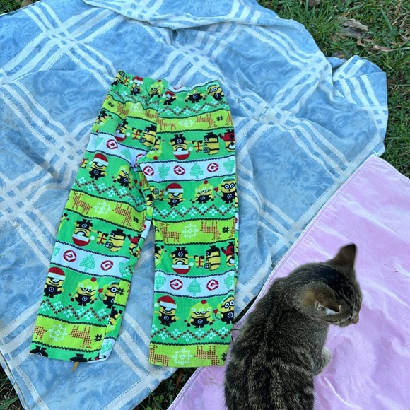 Despicable Me Minions Fleece Elastic Waist Pajama Pants PJs Bottoms Green Boys M - Picture 11 of 16